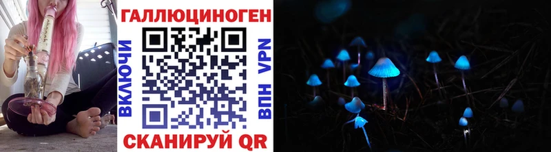 купить наркоту  Кукмор  MEGA как зайти  Галлюциногенные грибы Cubensis 